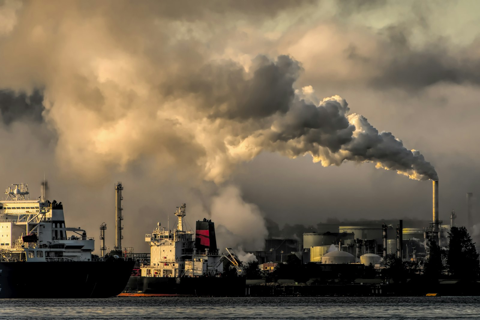 Why Accurate Metering Matters in On Site Fuel Delivery